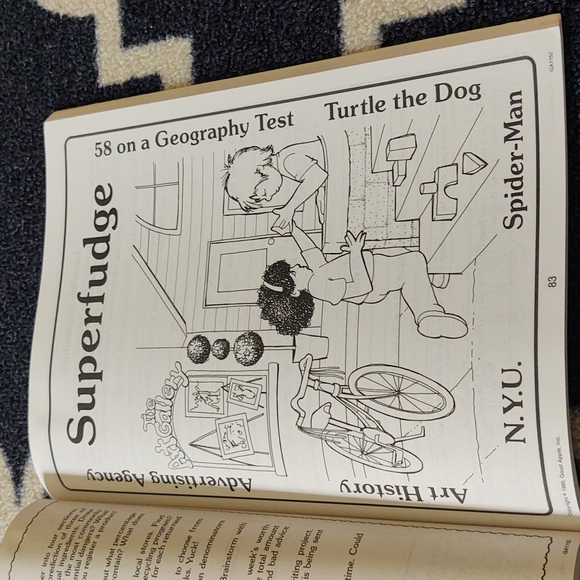 Integrating the Literature of Judy Blume in the Classroom Book - GUC - Picture 11 of 15